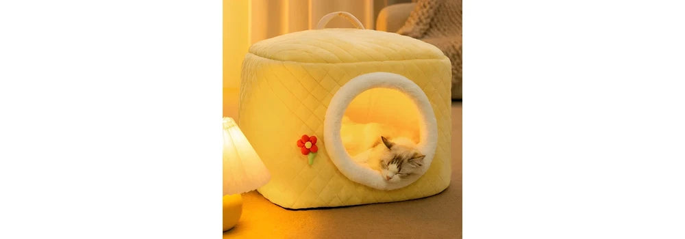 Purr-fect Dreamland: The Ultimate Guide to Pet Beds