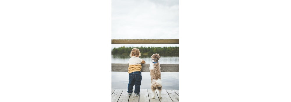 The Magic of Pet Parenthood