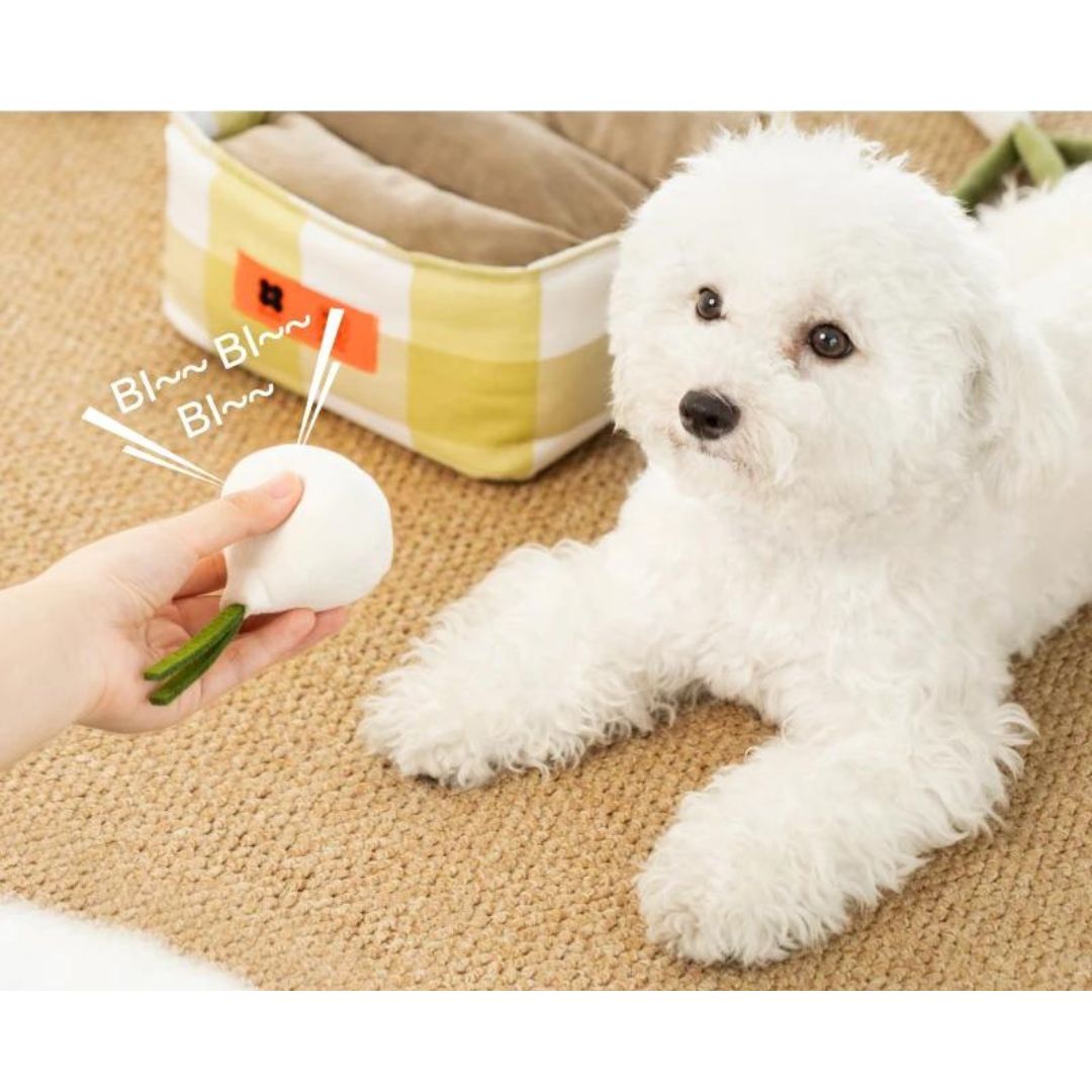 Snuffle Vegetable-Shape Interactive Pet Toy