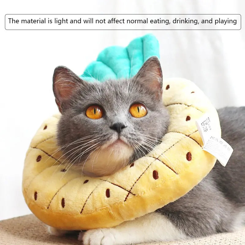 Adjustable Pet Cat Collar Fruit Shaped Recovery Neck Protection Collar