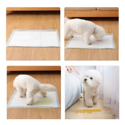 20Pcs Training Pee Pet Super Absorbent Urine Pad