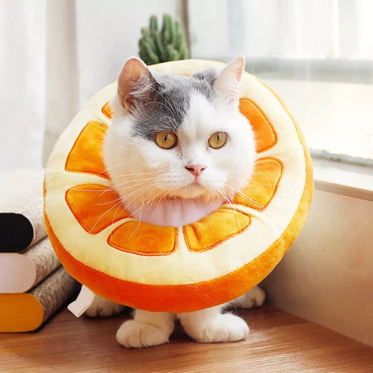 Adjustable Pet Cat Collar Fruit Shaped Recovery Neck Protection Collar