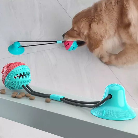 Interactive Pet Dog Toys Elastic Ball Pull Toy