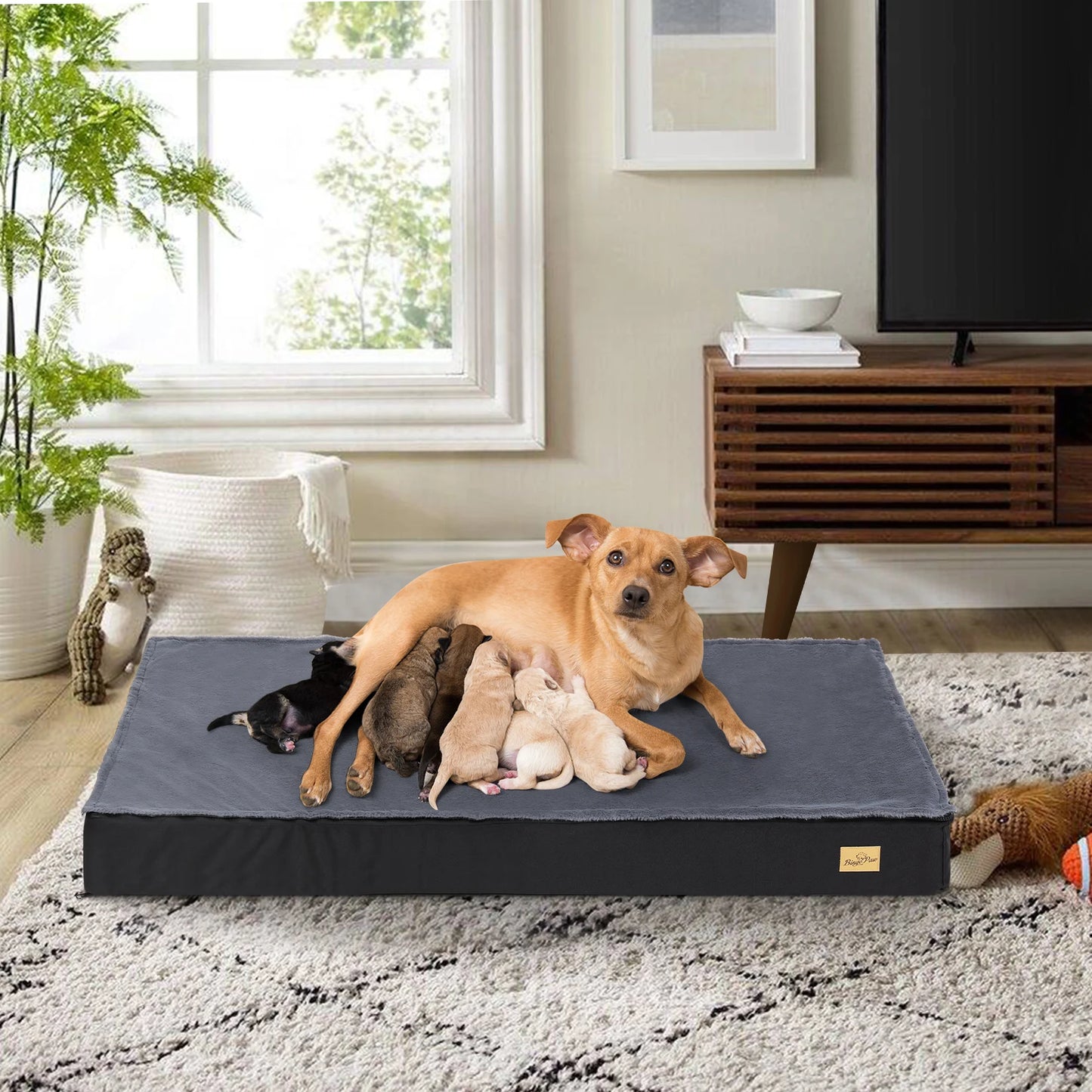 Waterproof Orthopedic Dog Bed for Medium Large Dogs