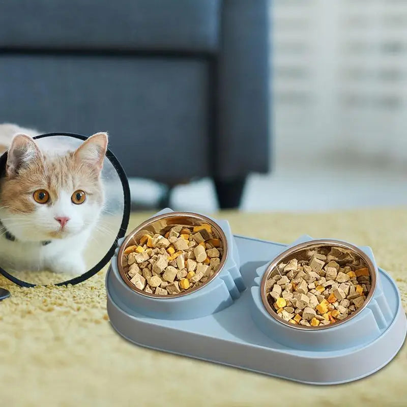 Double Cat Bowl Elevated Pet Feeder