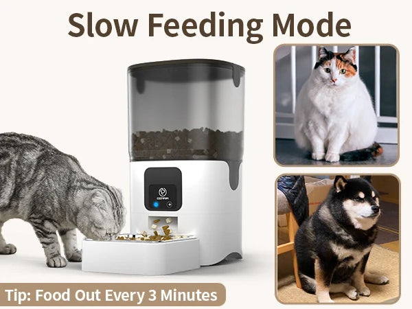 Smart Automatic 6L Feeders WiFi Pet Feeder with APP Control