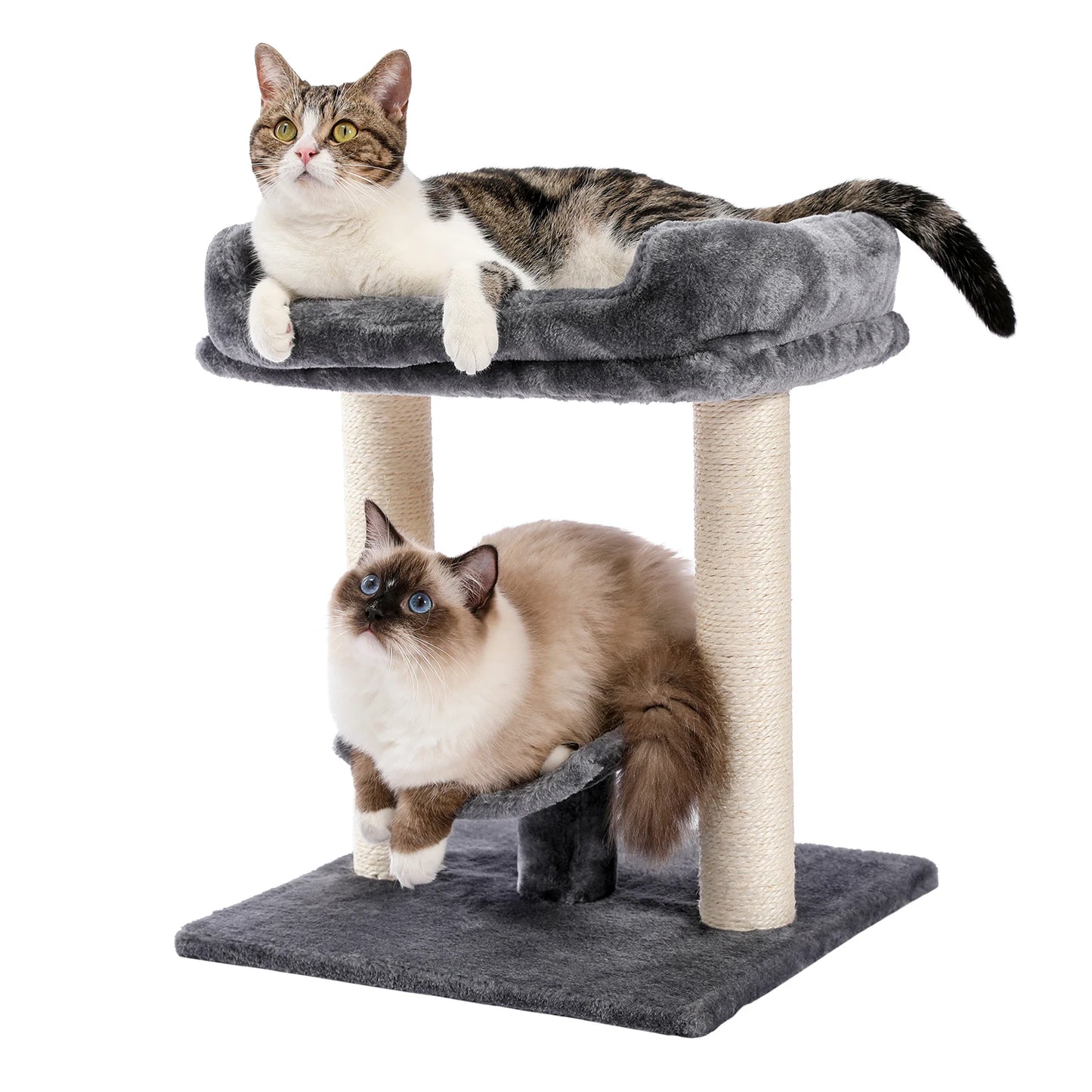 Cat Tree with Curved Top Platform