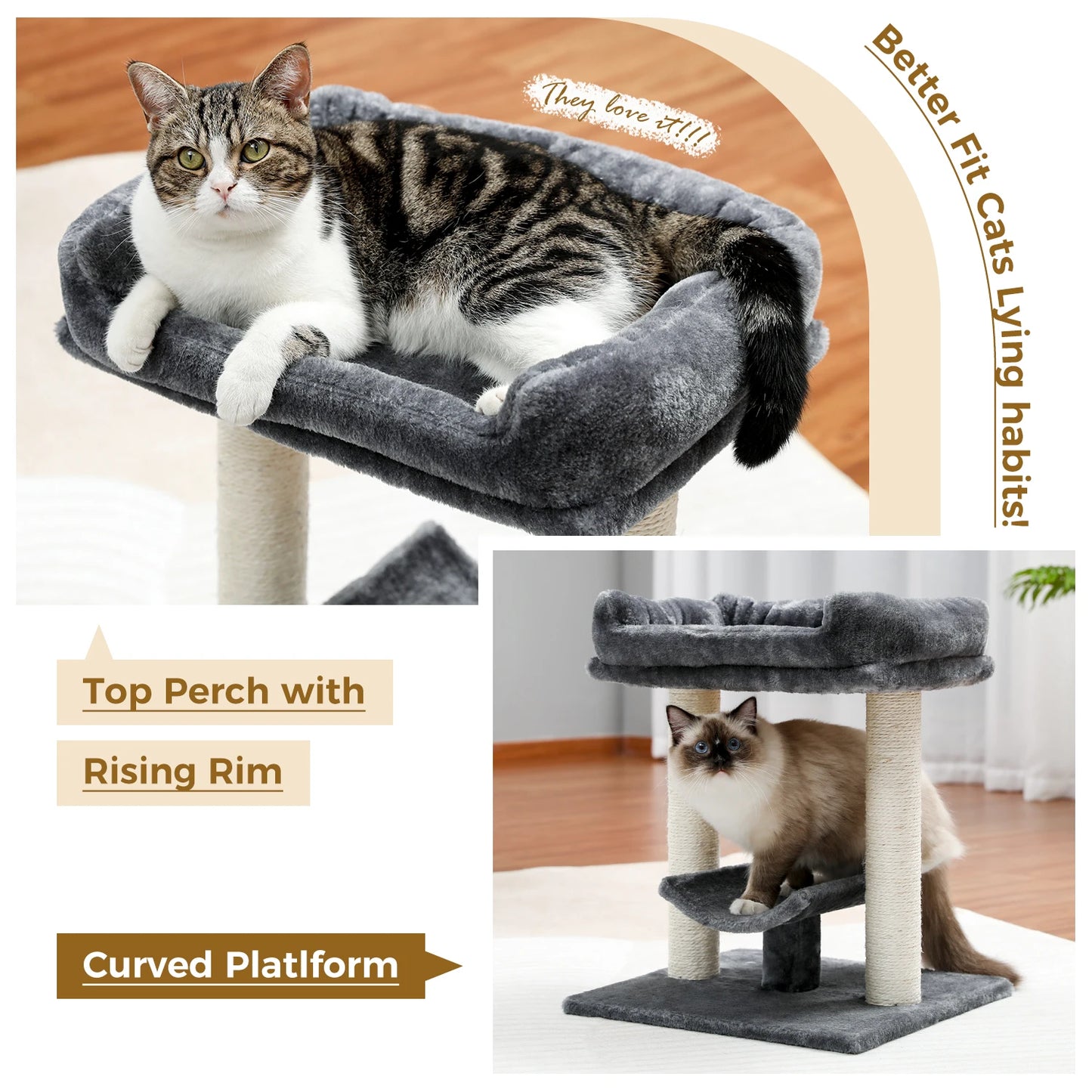 Cat Tree with Curved Top Platform