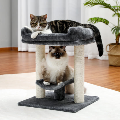 Cat Tree with Curved Top Platform